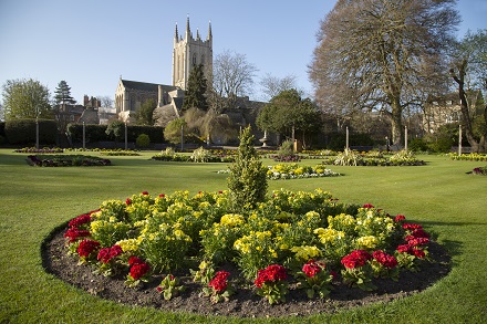 Abbey Gardens guided tours