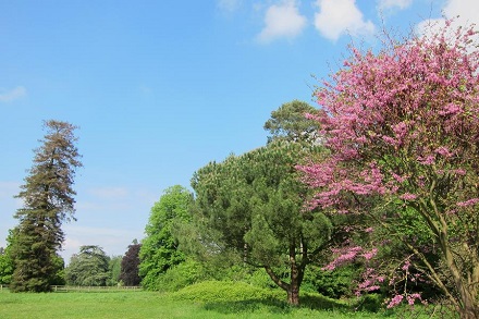 Nowton Park Arboretum
