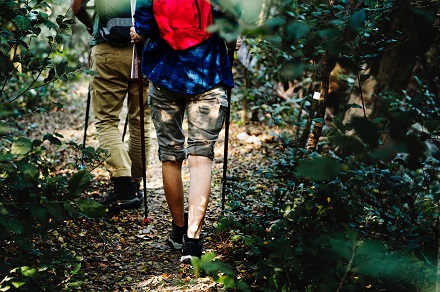 Suffolk Walking Festival