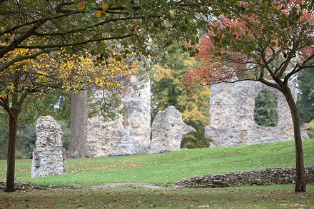 Abbey Gardens