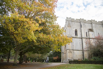 Abbey Gardens