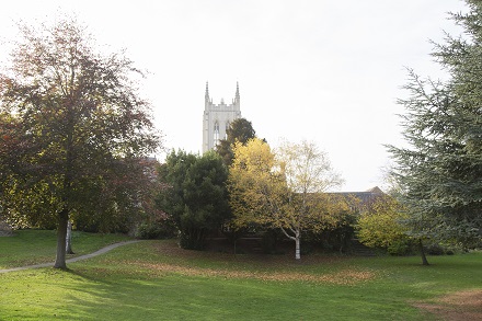 Abbey Garden