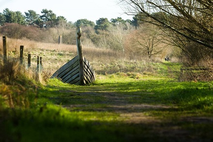 Beowulf trail at West Stow Country Park