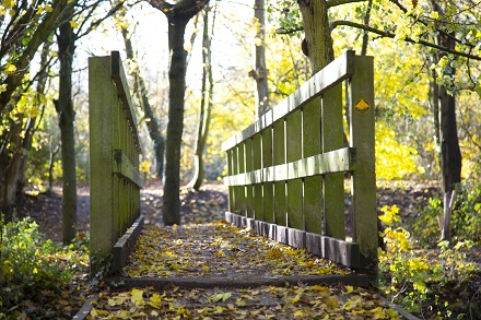 East Town Park bridge