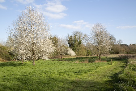 East Town Park