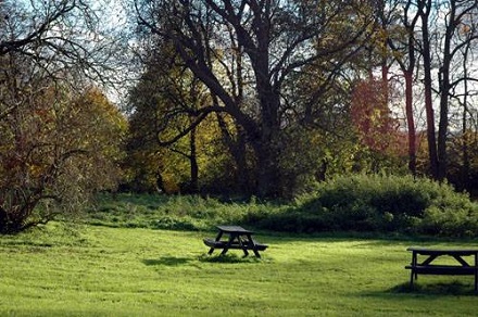 East Town Park picnic area