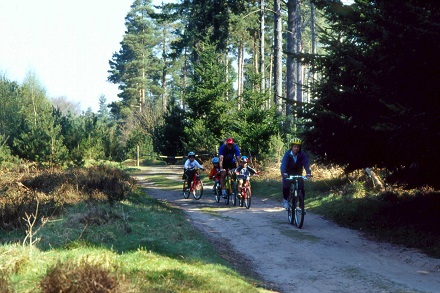 Family cycling at Brandon Country Park