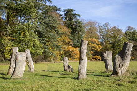 Nowton Park nature