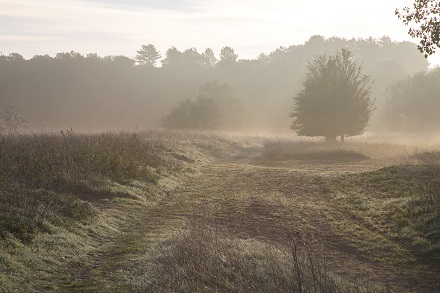 West Stow Country Park