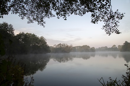 West Stow Lake