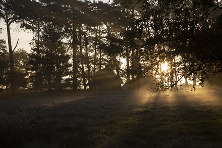 West Stow Anglo-Saxon Village