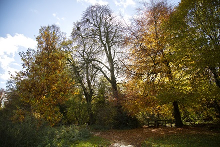 East Town Park in Autumn