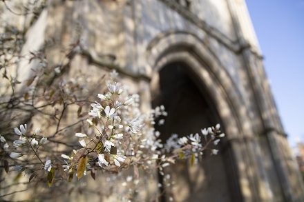 Abbey Gardens in Spring