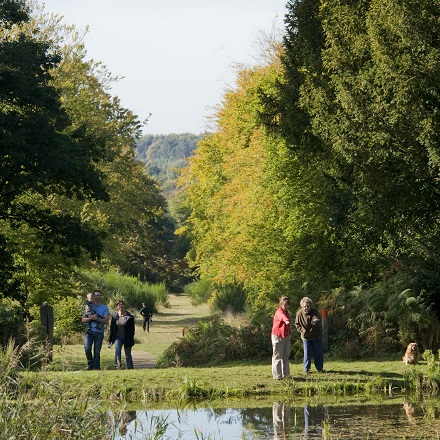 Brandon Country Park