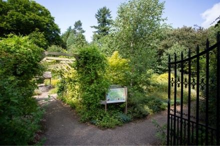 Welcome to the Walled Garden