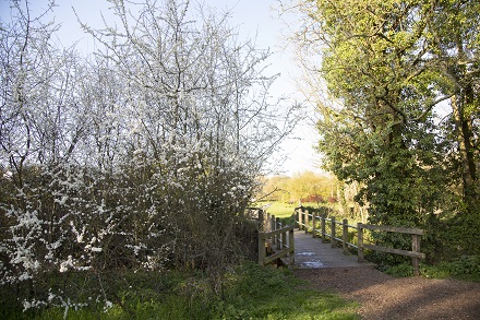 East Town Park Trails