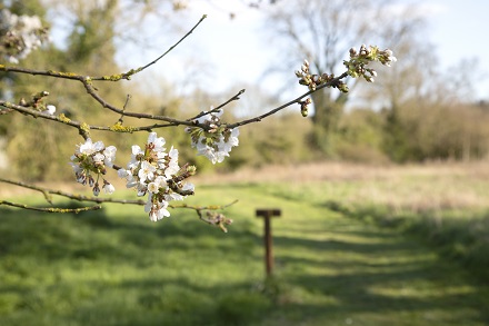 Spring at East Town Park