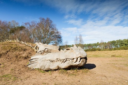 Dragon at West Stow Country Park