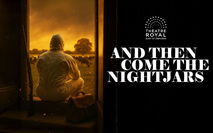 And Then Come The Nightjars image